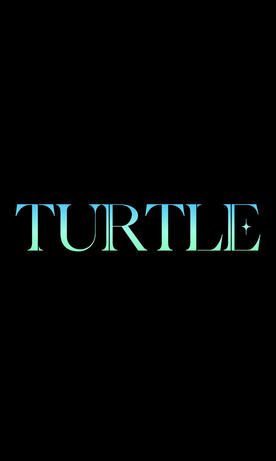 Turtle 2021